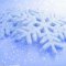 希阳飘雪